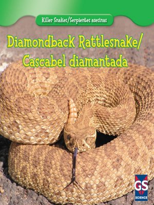cover image of Diamondback Rattlesnake / Cascabel diamantada